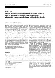 Targeted differential display of abundantly expressed sequences ...
