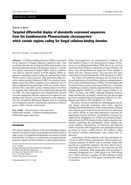 Targeted differential display of abundantly expressed sequences ...