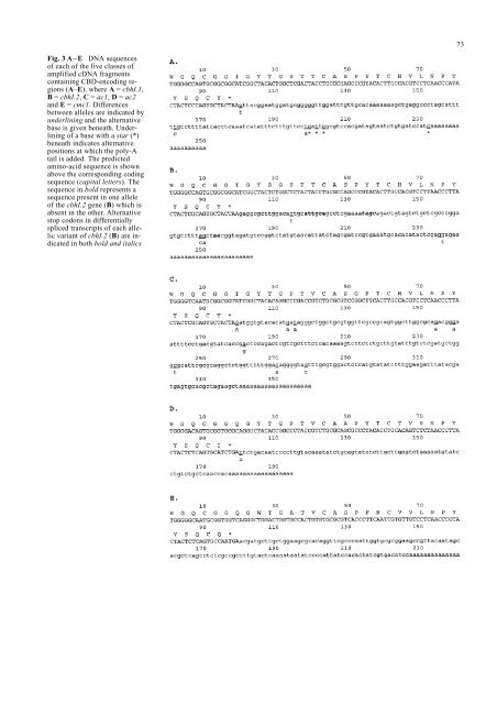 Targeted differential display of abundantly expressed sequences ...