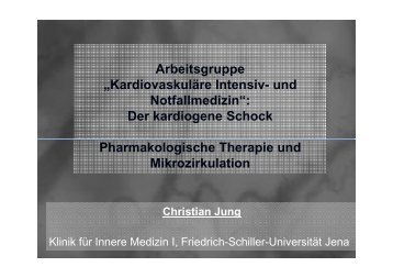 Pharmakologische Therapie und Mikrozirkulation (PDF)
