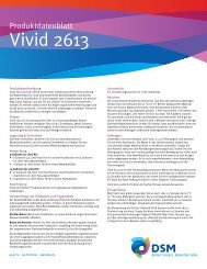 Vivid 2613 - DSM