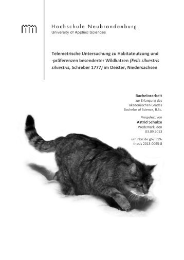 präferenzen besenderter Wildkatzen (Felis silvestris silvestris ...