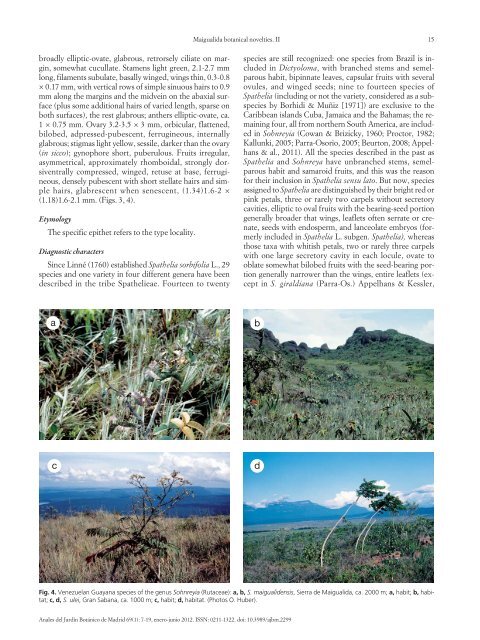 Botanical novelties from Sierra de Maigualida, southern ... - CSIC