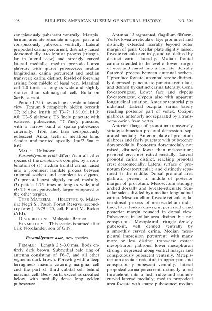 the cynipoid genus paramblynotus - American Museum of Natural ...