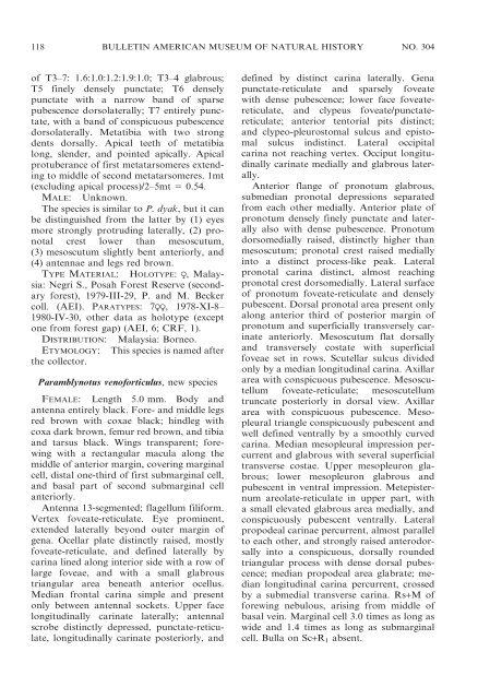 the cynipoid genus paramblynotus - American Museum of Natural ...