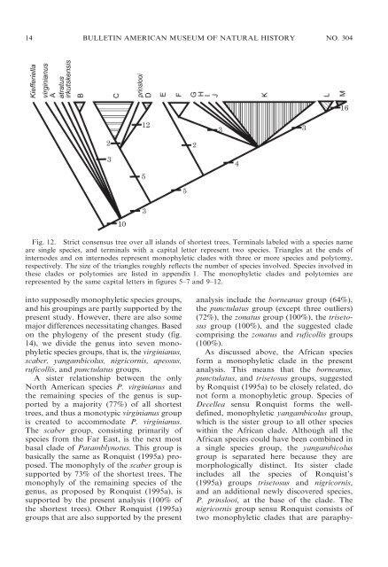 the cynipoid genus paramblynotus - American Museum of Natural ...