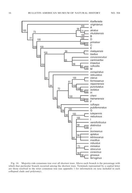 the cynipoid genus paramblynotus - American Museum of Natural ...