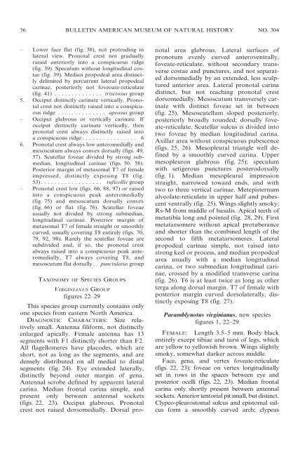 the cynipoid genus paramblynotus - American Museum of Natural ...