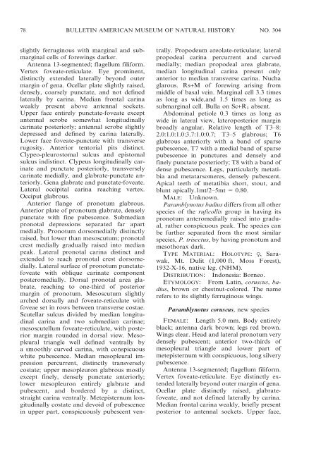 the cynipoid genus paramblynotus - American Museum of Natural ...