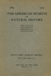 1919 - American Museum of Natural History