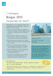 Flyer - Deutsches Biomasseforschungszentrum