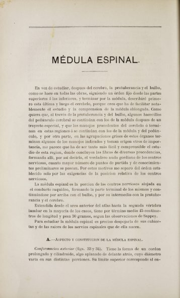 MÉDULA ESPINAL.