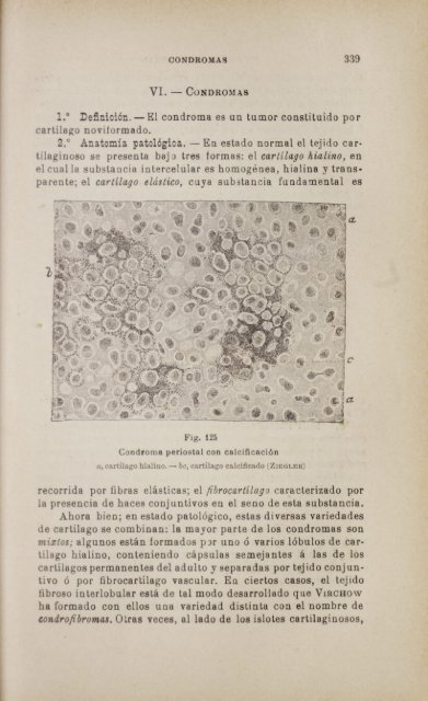 tilaginoso se la presencia de haces conjuntivos en cartílagos ...