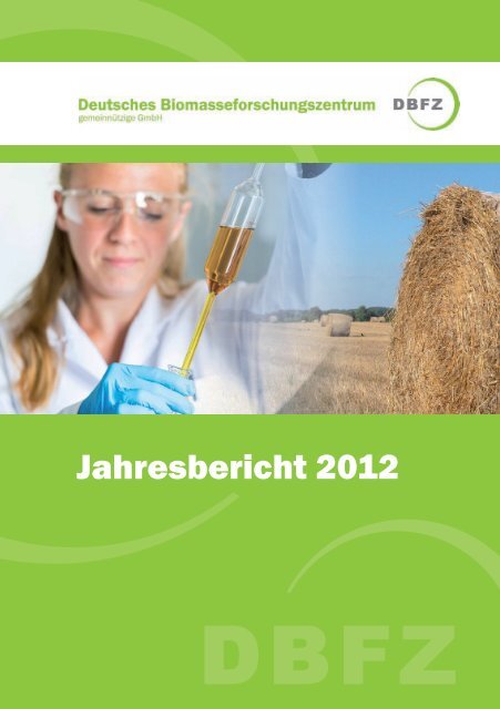 Jahresbericht 2012 - Deutsches Biomasseforschungszentrum