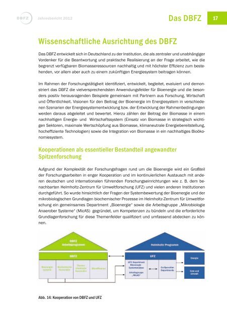 Jahresbericht 2012 - Deutsches Biomasseforschungszentrum