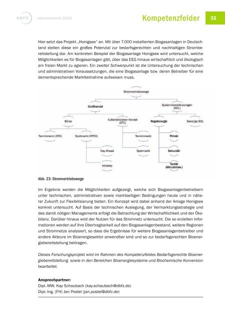 Jahresbericht 2012 - Deutsches Biomasseforschungszentrum