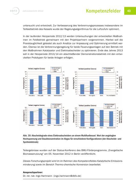 Jahresbericht 2012 - Deutsches Biomasseforschungszentrum