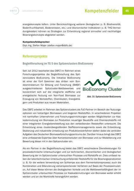 Jahresbericht 2012 - Deutsches Biomasseforschungszentrum