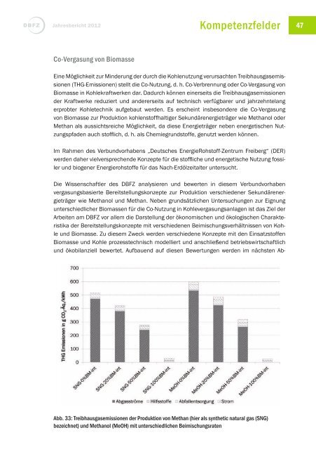 Jahresbericht 2012 - Deutsches Biomasseforschungszentrum