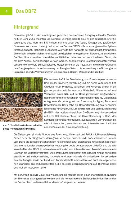 Jahresbericht 2012 - Deutsches Biomasseforschungszentrum