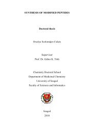 SYNTHESIS OF MODIFIED PEPTIDES Doctoral thesis ... - doktori