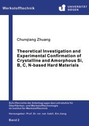 1.3 Amorphous B–C–N Materials - Universität Siegen