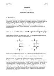 Protokoll - Chemiestudent.de