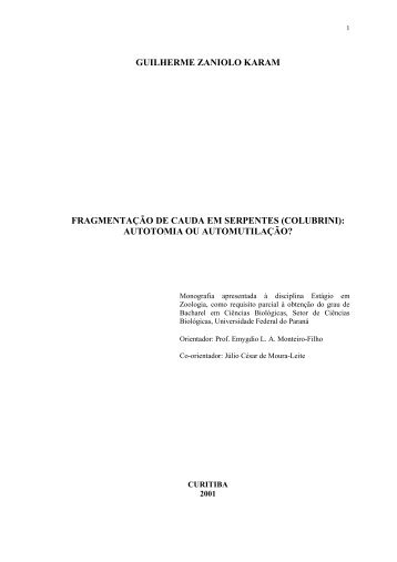 Monografia Guilherme Zaniolo Karam.pdf - DSpace - Universidade ...