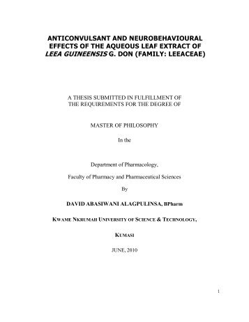 MPhil Thesis.pdf