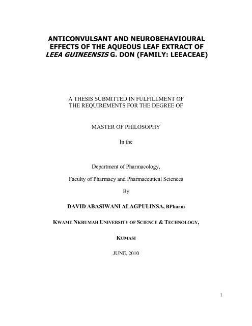 mphil thesis pdf