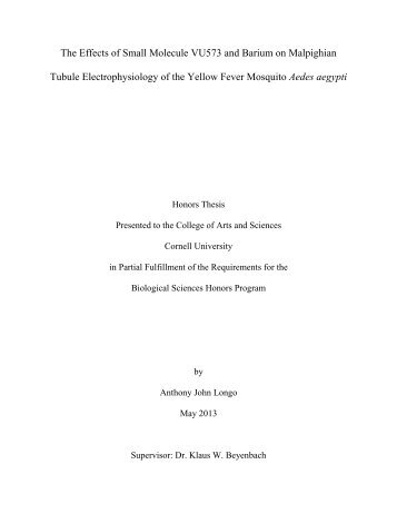 Longo, Anthony Biology Honors Thesis.pdf - eCommons@Cornell