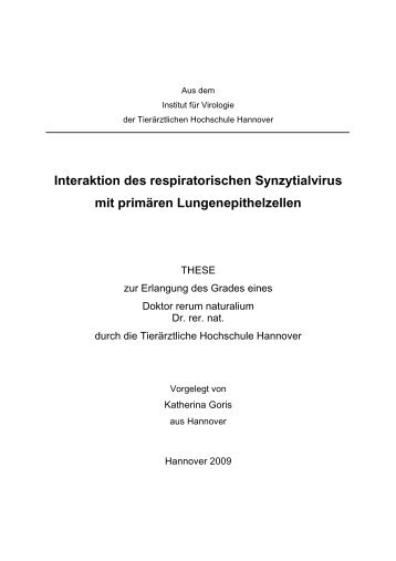 Interaktion des respiratorischen Synzytialvirus mit primären ...