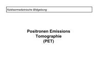 Positronen Emissions Tomographie (PET)