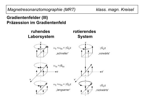 Magnetresonanztomographie (MRT)