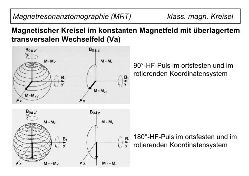 Magnetresonanztomographie (MRT)