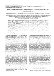 Sugar Transporters Involved in Flowering and Grain Development of ...