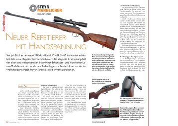 Steyr Mannlicher SM12 - waffenmarkt.ch