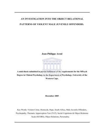 an investigation into the object relational - UWC Theses and ...