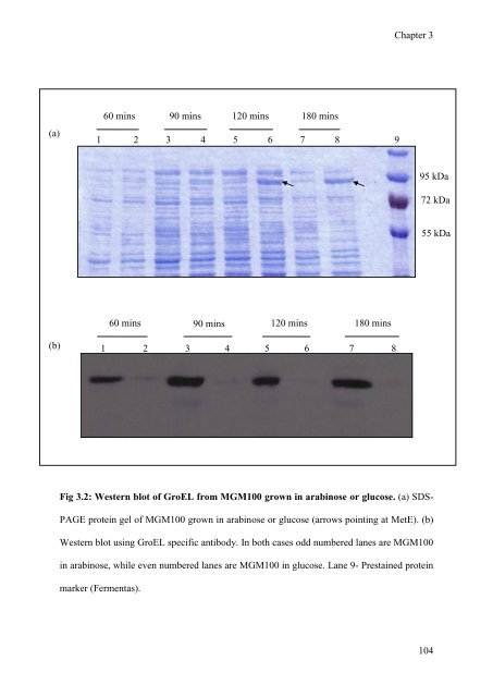 mohammad tabish ahmed - eTheses Repository - University of ...