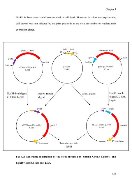 mohammad tabish ahmed - eTheses Repository - University of ...