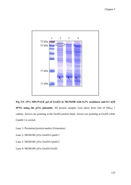 mohammad tabish ahmed - eTheses Repository - University of ...