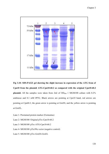 mohammad tabish ahmed - eTheses Repository - University of ...