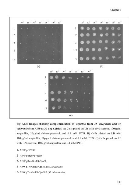 mohammad tabish ahmed - eTheses Repository - University of ...