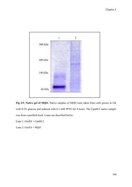 mohammad tabish ahmed - eTheses Repository - University of ...