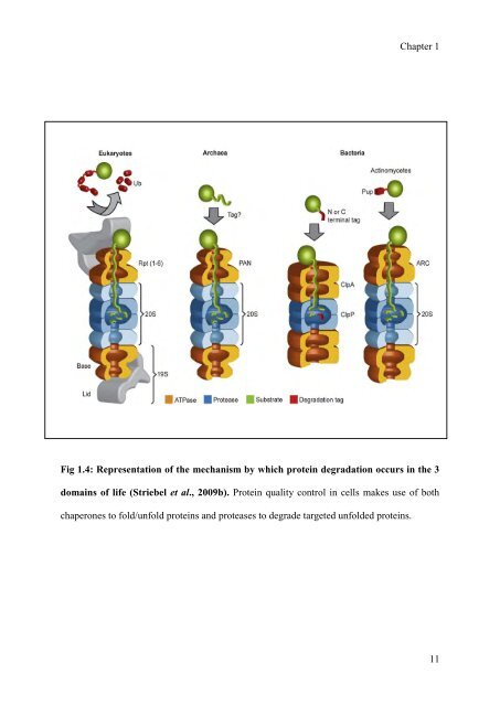 mohammad tabish ahmed - eTheses Repository - University of ...