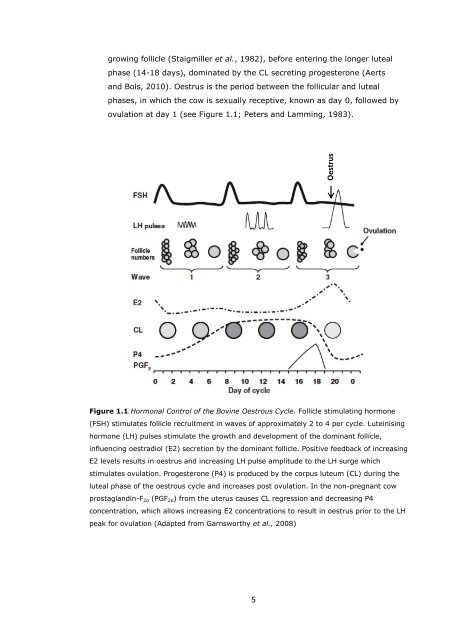 novel approaches to expression and detection of oestrus in dairy cows