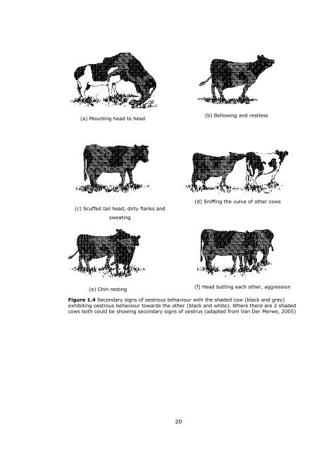 novel approaches to expression and detection of oestrus in dairy cows