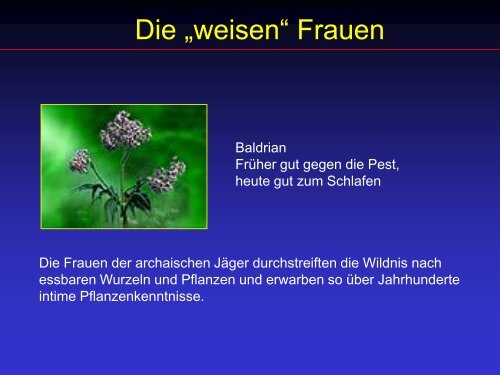 Hexenmedizin, Vortrag, pdf, 1.4 MB - Ever.ch