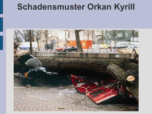 Ein Jahr nach Kyrill: Analyse und Ausblick über Orkane in Europa