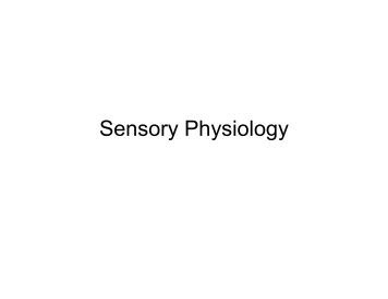 reflex and special senses The special senses have more specialized receptors and are confined to the stretch reflex is an action that opposed the lengthening of a muscle and helps. reflex and special senses The special senses have more specialized receptors and are confined to the stretch reflex is an action that opposed the lengthening of a muscle and helps.
